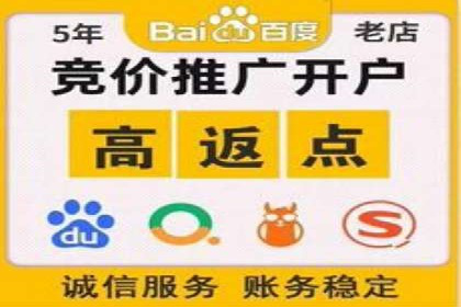 SEM竞价推广策略优化：从失败到成功的转变
